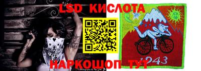 гидропоника Камышлов