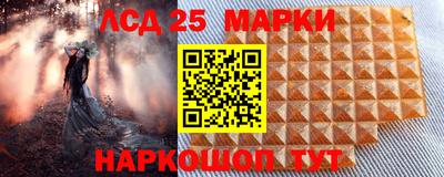 гидропоника Камышлов