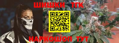 гидропоника Камышлов
