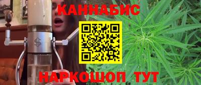 гидропоника Камышлов