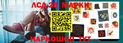 гидропоника Камышлов