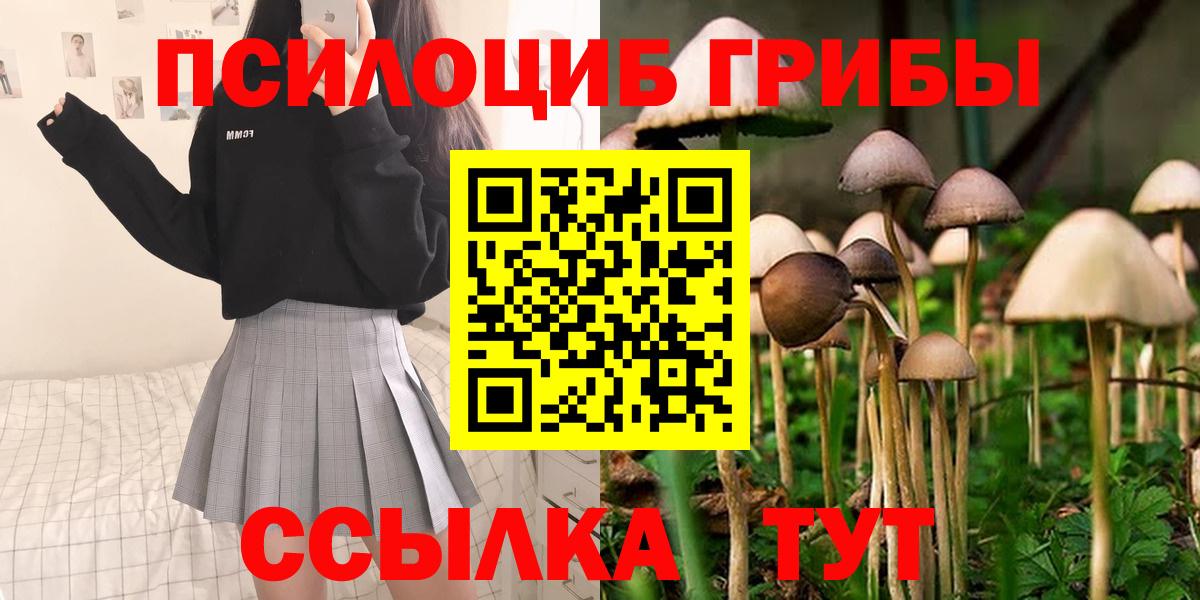 Псилоцибиновые грибы MAGIC MUSHROOMS Воткинск