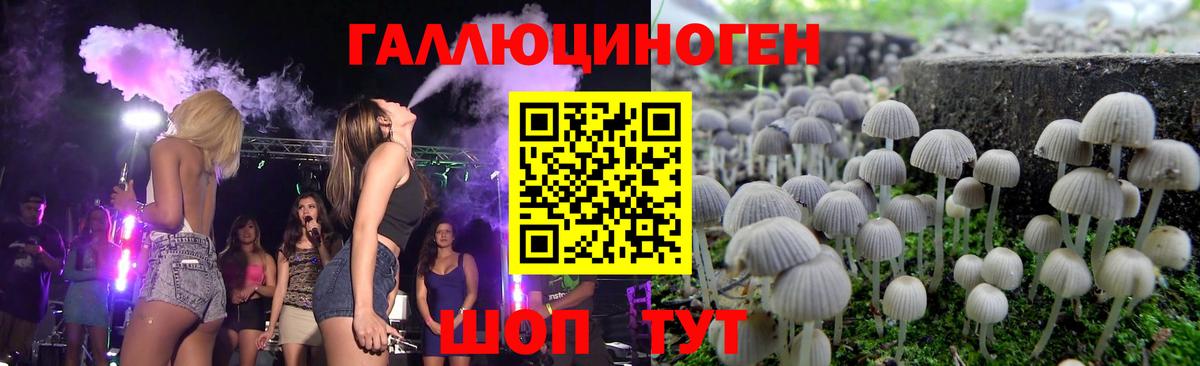 Воткинск  Галлюциногенные грибы мухоморы  Вход с VPN 